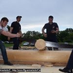 20160528_DBV_WEB