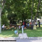 20160720_DBV_WEB