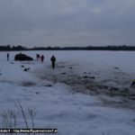 20170108_TE_WEB