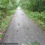 20170810_TE_WEB