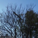 20171111_TE_2_WEB