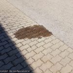 20180421_SE_WEB