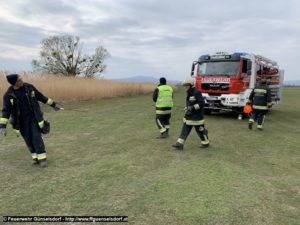 20190412_TE_WEB