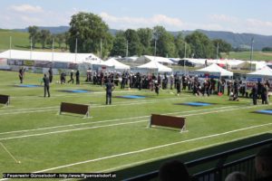 20190704_FJ_WEB