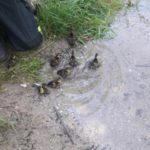 20210608 Image011