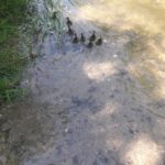20210608 Image012