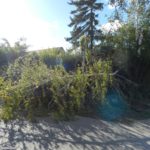 20220919 Image001