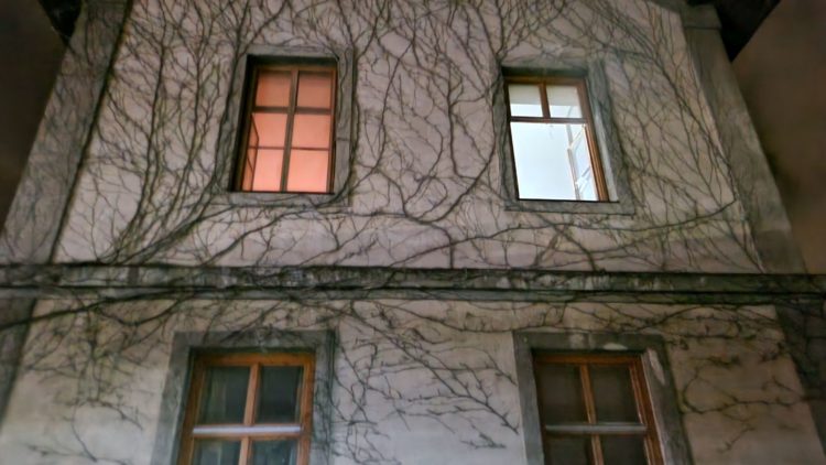 20230314 Image006